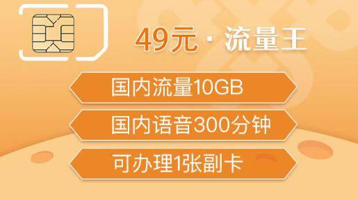 流量王 联通【尊享】49元流量王 10GB国内流量 300分钟国内语音